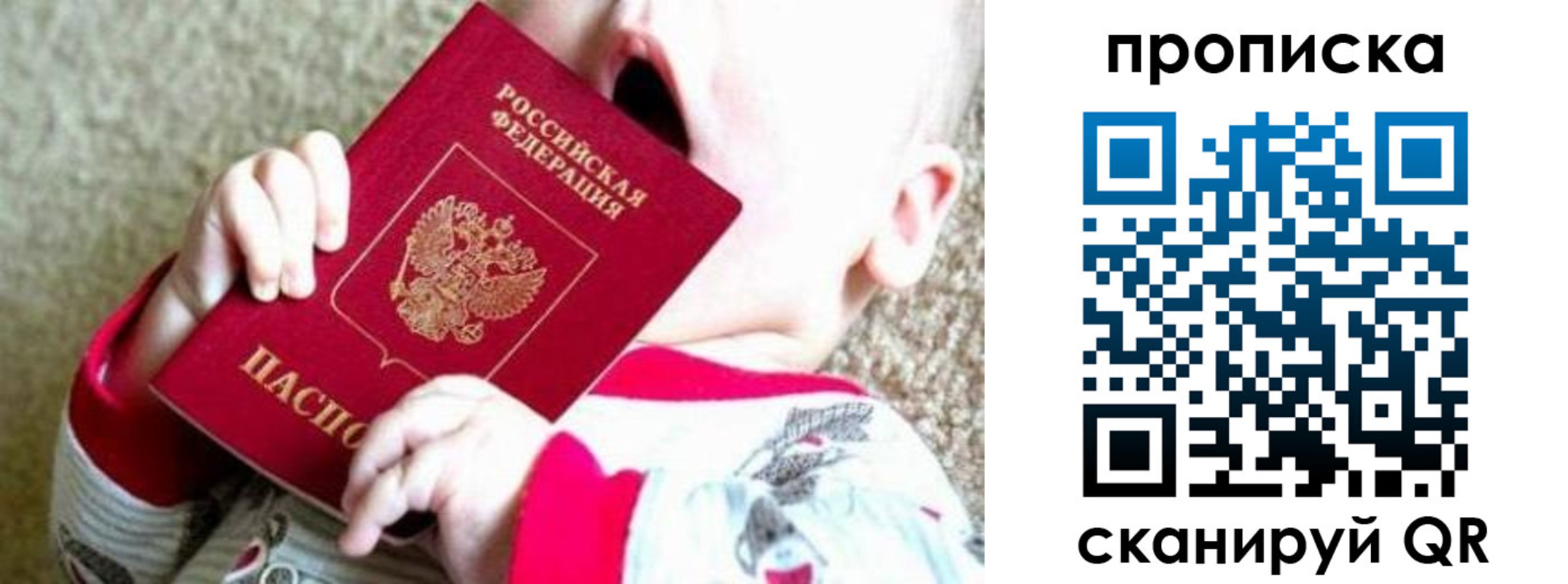 прописка законно в Петропавловске-Камчатском